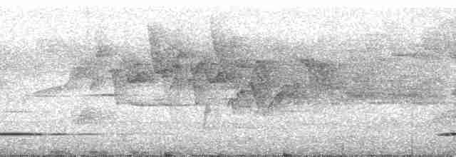 Красногорлая лесная куропатка - ML180547