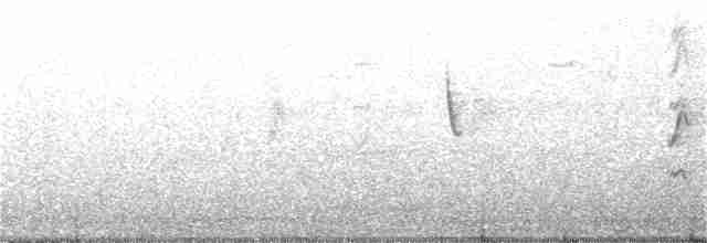 Austral Blackbird - ML180578351