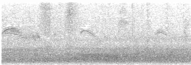 Серпокрилець блідий - ML180581401