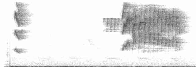 Тиран-карлик амазонійський - ML180649541