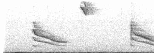 Усатый крапивник - ML180649561