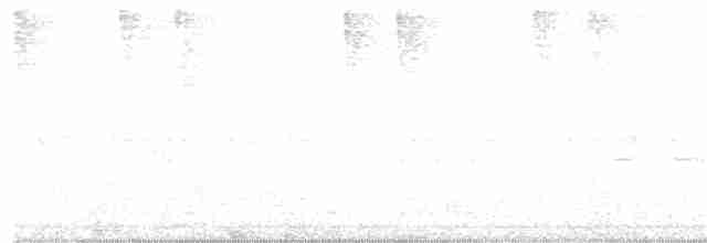 Effraie ombrée - ML180652321