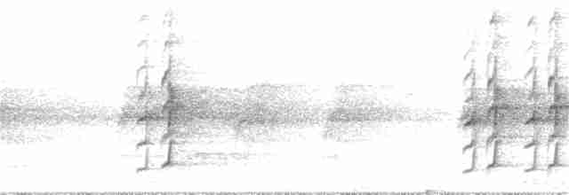 Orthonyx de Temminck - ML180681001
