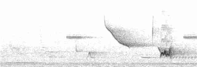 Brown-crested Flycatcher - ML180695881