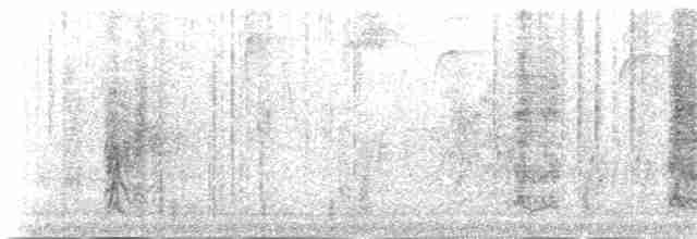 Dominik Palmiyekuşu - ML180796081