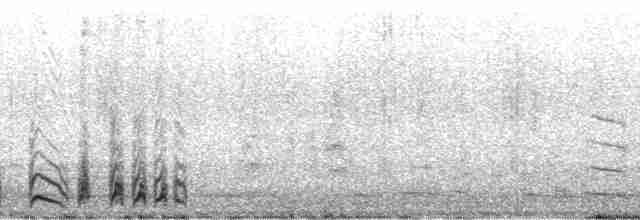 白腰叉尾海燕(leucorhoa) - ML1808