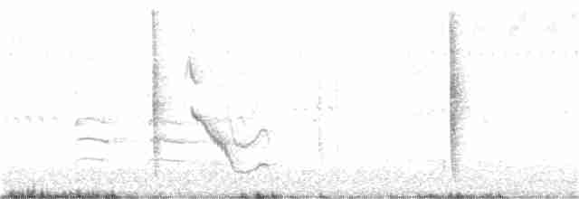 Rotspottdrossel - ML180814661