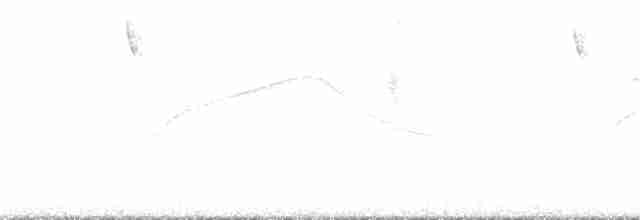 コアカヒゲハチドリ - ML180820041