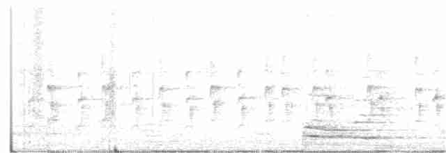 langhaleskredderfugl - ML180856971