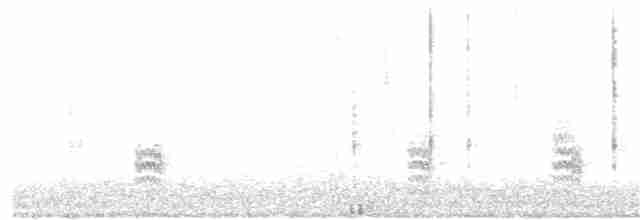 Weißbrustkleiber - ML180862931