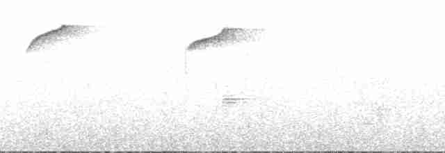 Orangebrustkotinga - ML180964