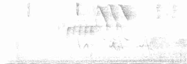 マミジロミツドリ（flaveola グループ） - ML180981971