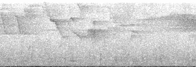 Gray-mantled Wren - ML180984