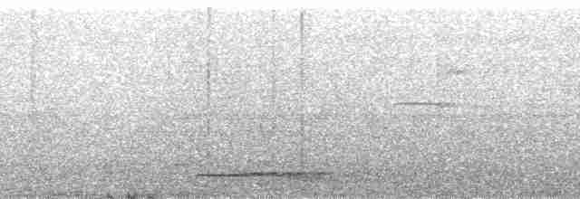 Зондский острокрылый дятел - ML181004