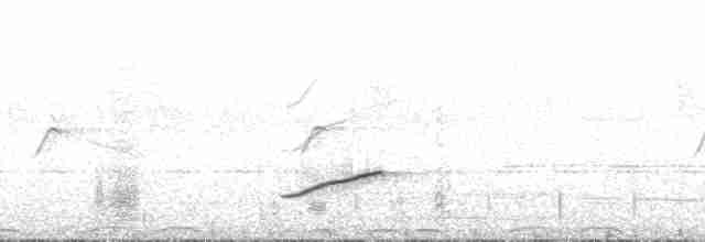 Narrow-tailed Starling - ML181145