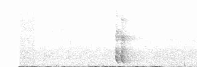 Краснобрюхая кукабара - ML181153851