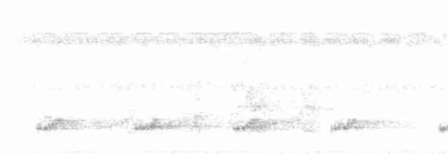 tukan středoamerický - ML181159571