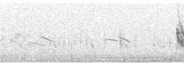 Black-winged Snowfinch - ML181189111