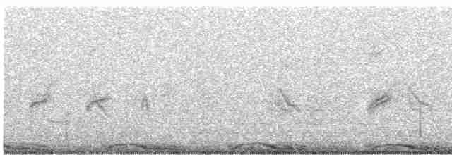 holub útesový - ML181189541