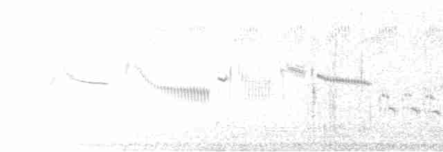 Striated Fieldwren - ML181191051