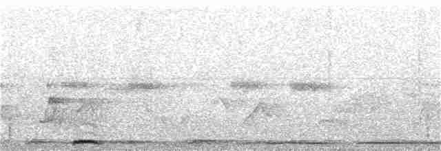 Russet-crowned Motmot - ML181246211