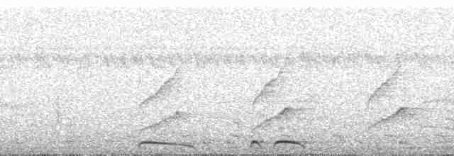 Oriole des campos - ML181252