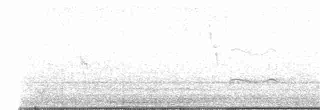 Black-bellied Plover - ML181299131