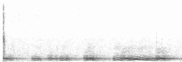 Chouette rayée - ML181301331