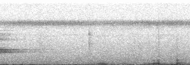 Тукан чорнодзьобий (підвид ariel) - ML181315