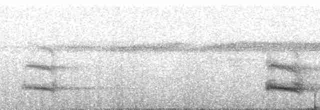 tukan volavý (ssp. ariel) - ML181318