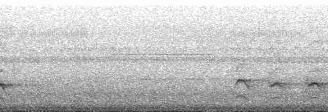 sirenehonningeter - ML181332