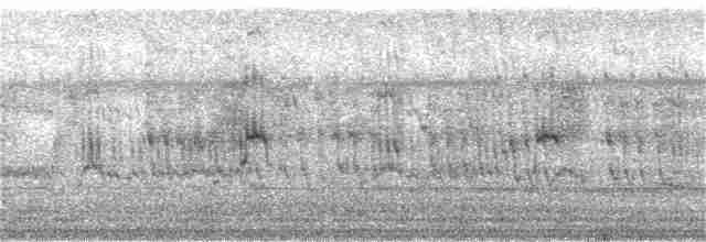 Кратеропа сіролоба - ML181338311