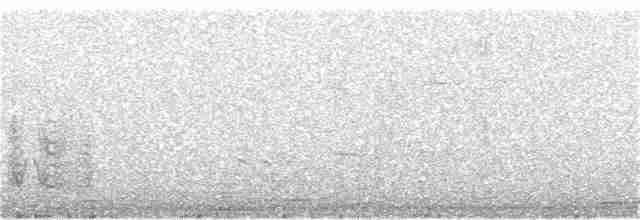 Black-tailed Godwit - ML181339651