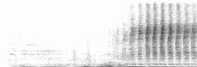 perlička kropenatá - ML181341261