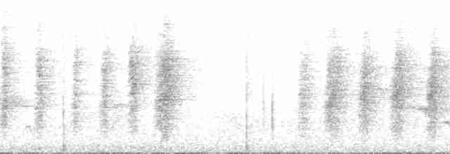 Чернохвостая майрия - ML181351