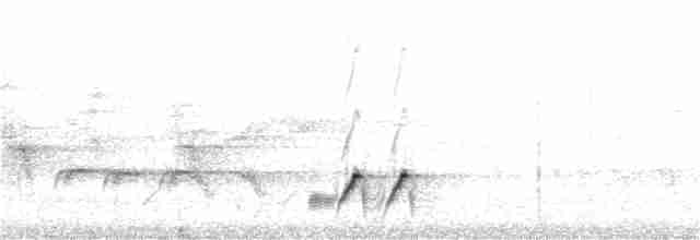 stripediamantfugl (substriatus) - ML181371771