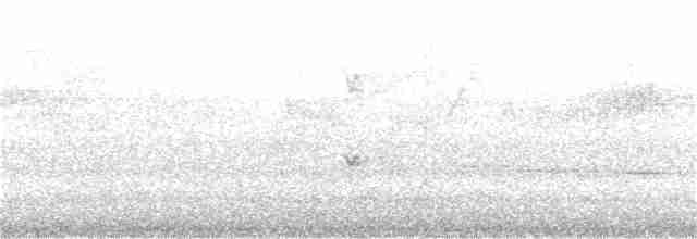 Серогрудый питуи - ML181375271