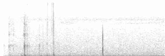 Little Tinamou - ML181384371