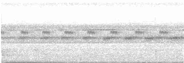 Pauraquenachtschwalbe - ML181385631