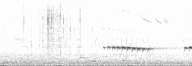 Fan-tailed Cuckoo - ML181392811