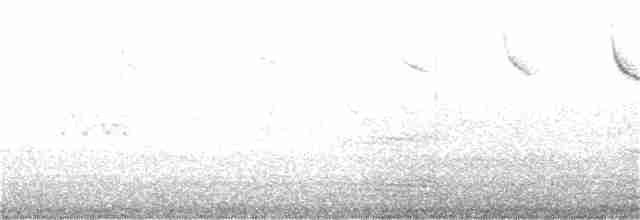 vestbørstefugl - ML181406501