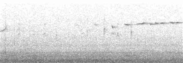 Gaviota de Tasmania - ML181407101