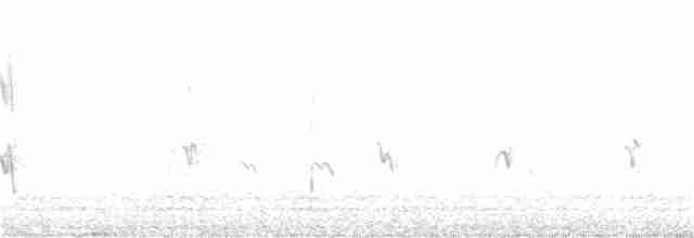Tüpfelborstenvogel - ML181407311