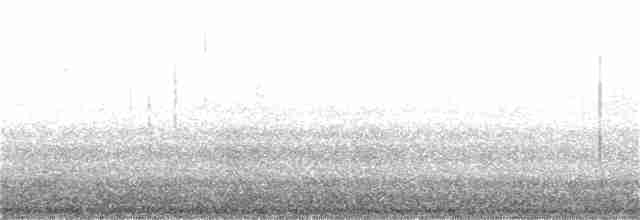 Tüpfelborstenvogel - ML181409741