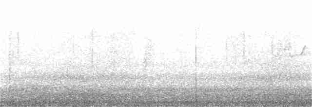 Tüpfelborstenvogel - ML181409821