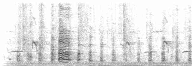 Банкивский петух (Одомашенного вида) - ML181427401