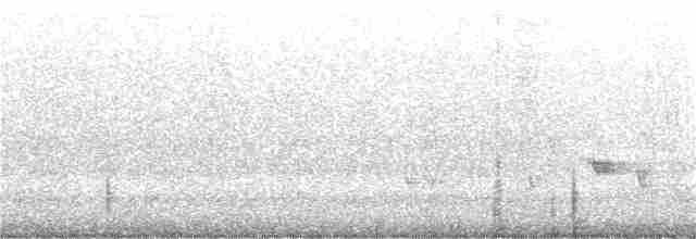 hvitøyegerygone - ML181468171