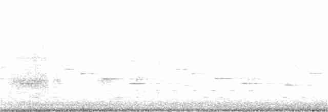 Psophode carillonneur - ML181471341