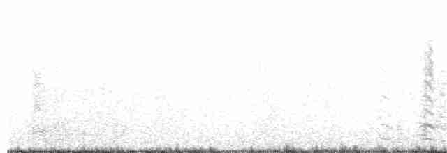 tundragås (albifrons) - ML181488131