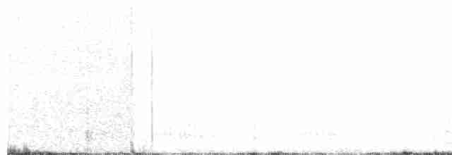 krkavec krátkoocasý - ML181495411